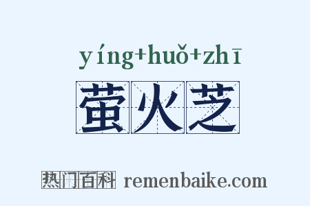 萤火芝是什么意思的图片